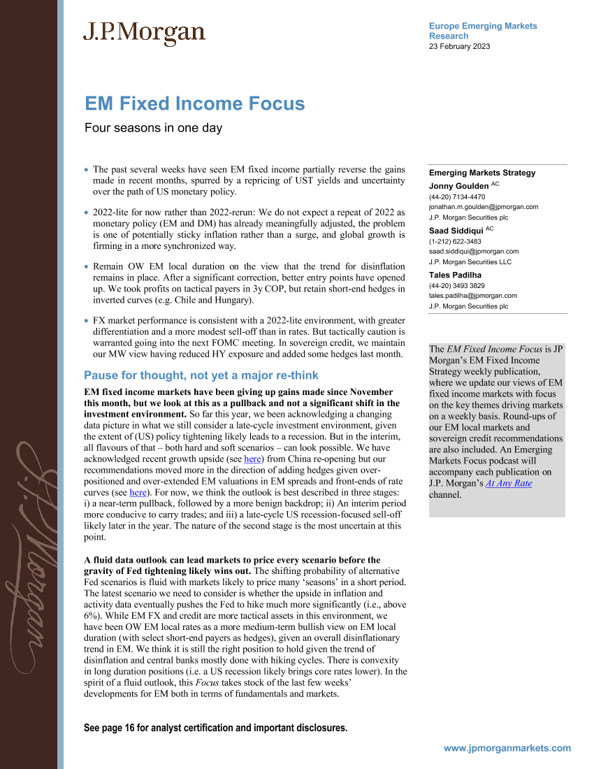 JPMorgan Econ  FI-EM Fixed Income Focus  Four seasons in one dayJPMorgan Econ  FI-EM Fixed Income Focus  Four seasons in one day_1.png